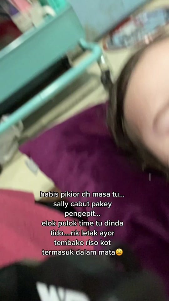 Post 9 by Sally Leong on TikTok (video)