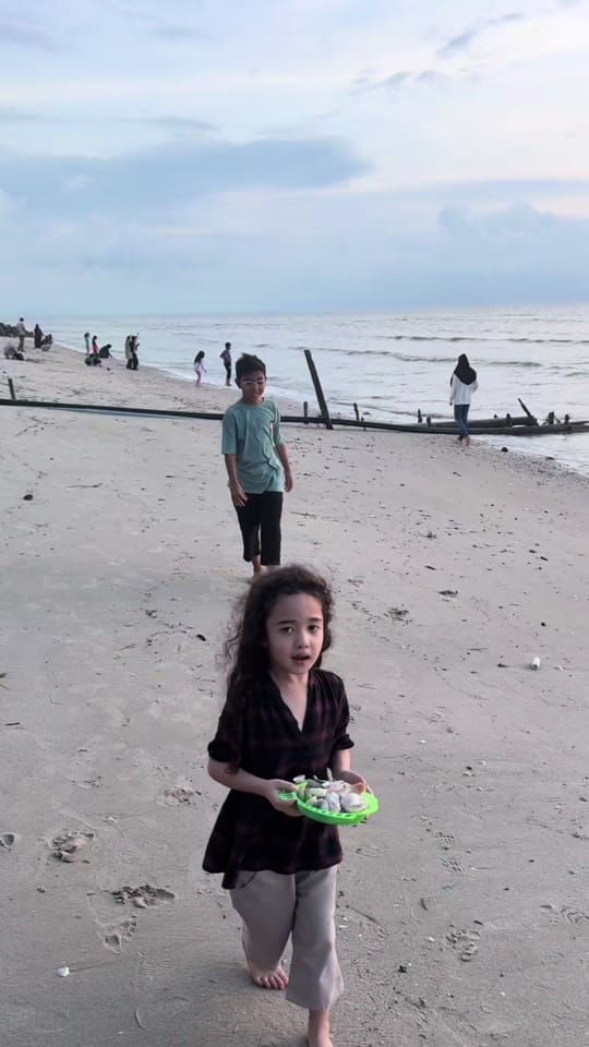 Post 1 by Sally Leong on TikTok (video)