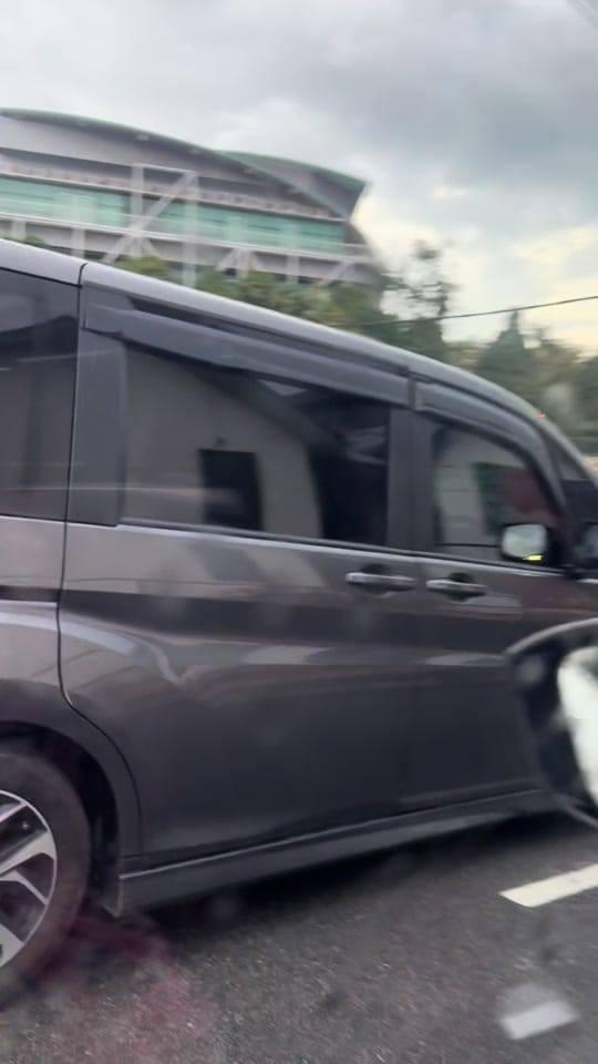 Post 4 by Sally Leong on TikTok (video)