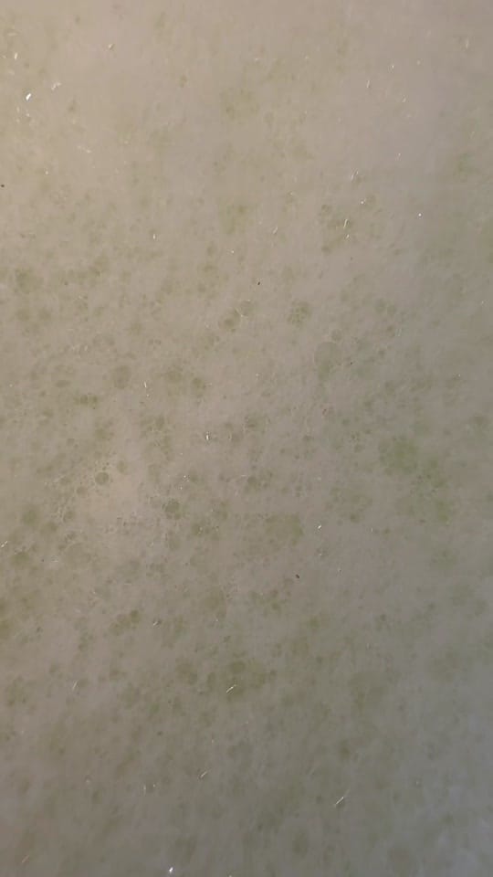 Post 7 by SmegstoreParis-DAYLAC on TikTok (video)