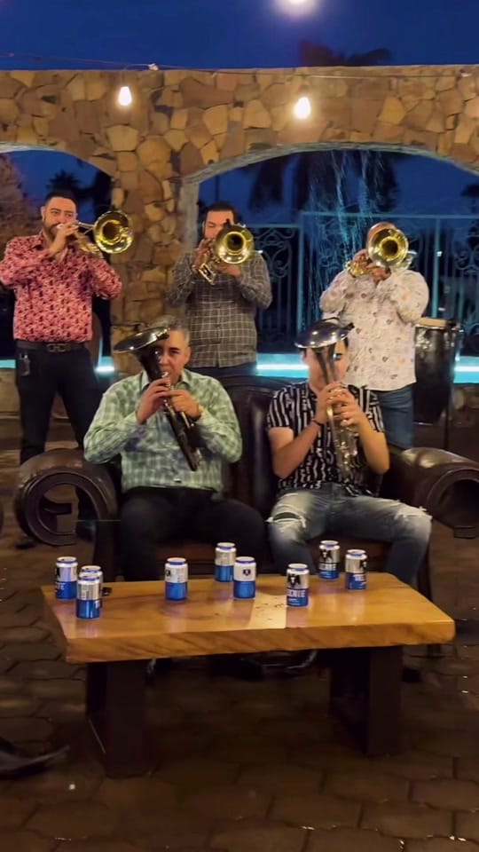 Post 9 by Banda Triguera on TikTok (video)