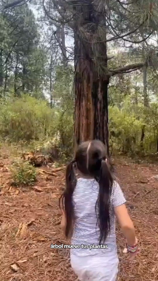 Post 9 by ElLibrodeCrecimientoEspiritual on TikTok (video)