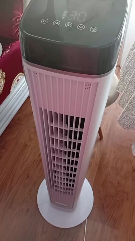 Post 2 by zina on TikTok (video)