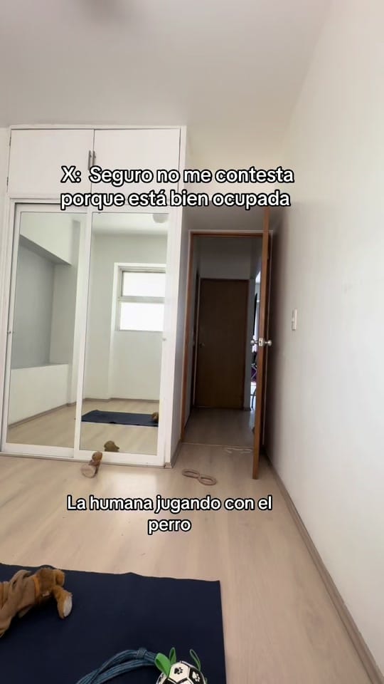 Post 8 by Renato El Perro on TikTok (video)