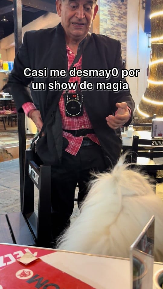 Post 6 by Renato El Perro on TikTok (video)