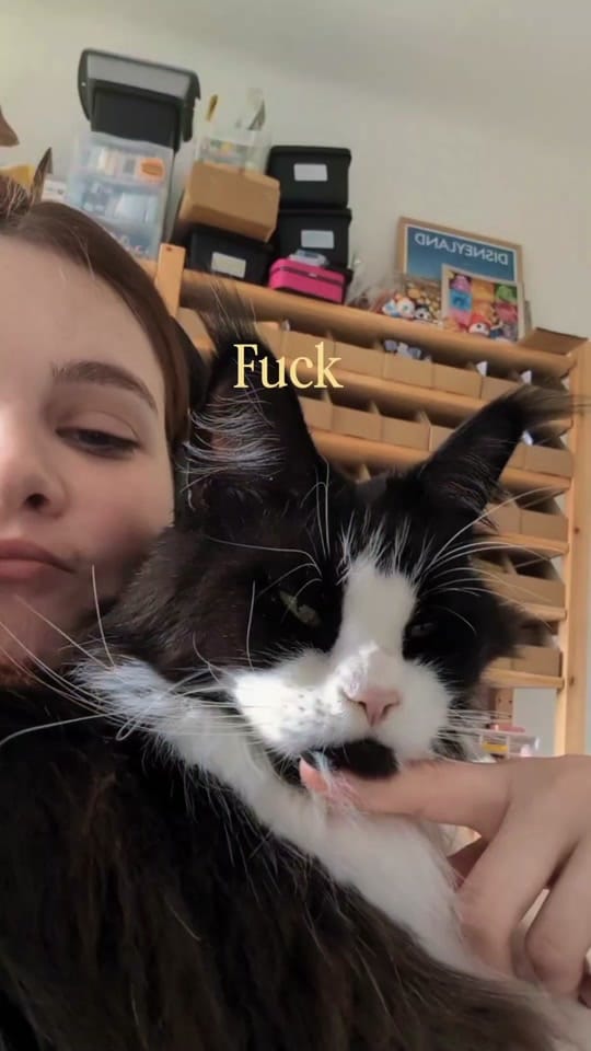 Post 1 by Sparkles in the Wild on TikTok (video)