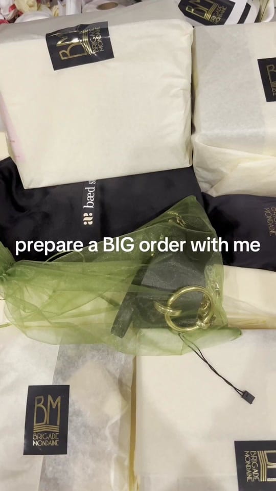 Post 2 by Brigade Mondaine Rive Gauche on TikTok (video)