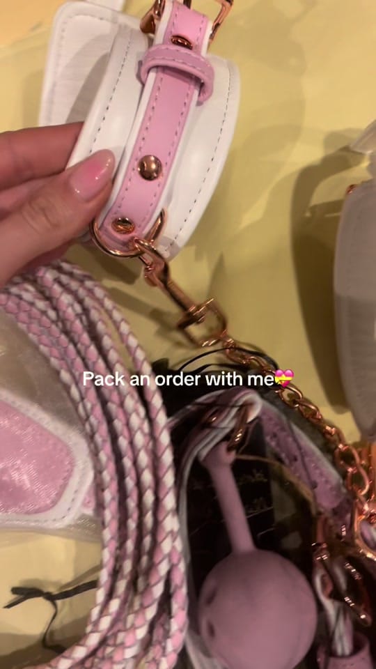Post 7 by Brigade Mondaine Rive Gauche on TikTok (video)