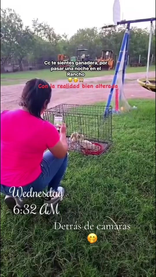 Post 8 by ❤️🕊️América🕊️❤️ on TikTok (video)