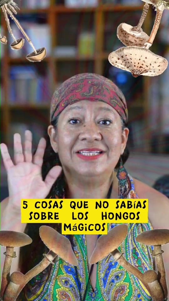 Post 5 by María Ciwa🌸Ciwa Quetzalcoatl on TikTok (video)