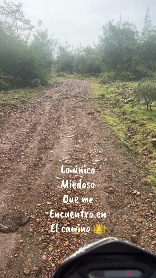 Post 5 by Felipe Tovar on TikTok (video)