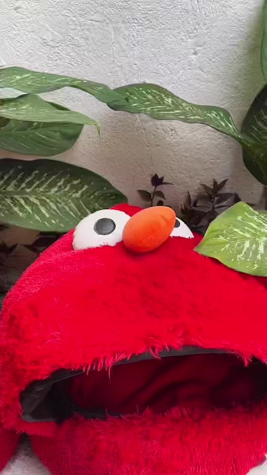 Post 7 by BlossomFyd on TikTok (video)