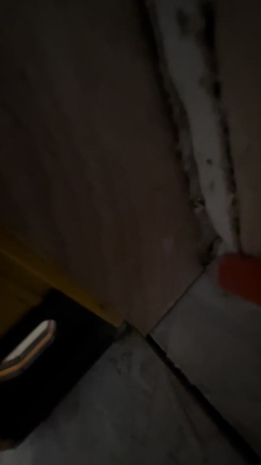 Post 8 by Chichi Charlie on TikTok (video)