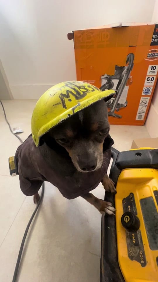 Post 1 by Chichi Charlie on TikTok (video)