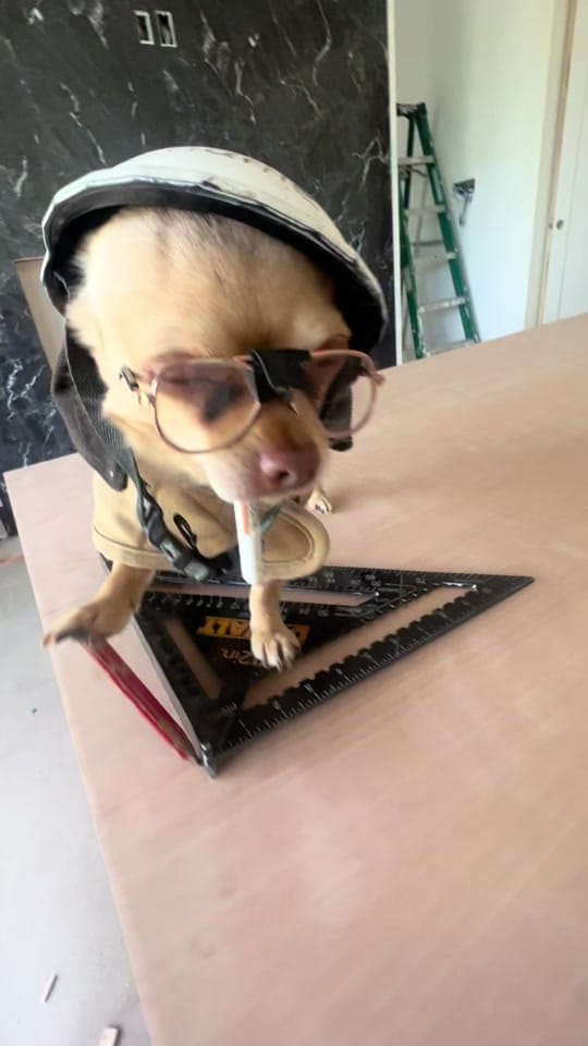 Post 3 by Chichi Charlie on TikTok (video)