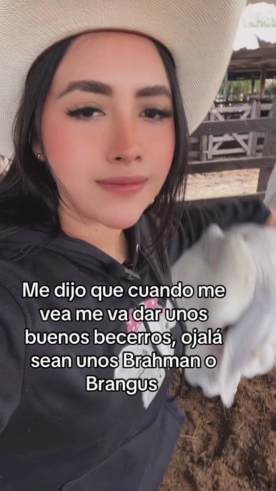 Post 8 by Liz on TikTok (video)