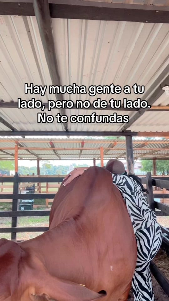 Post 2 by Liz on TikTok (video)