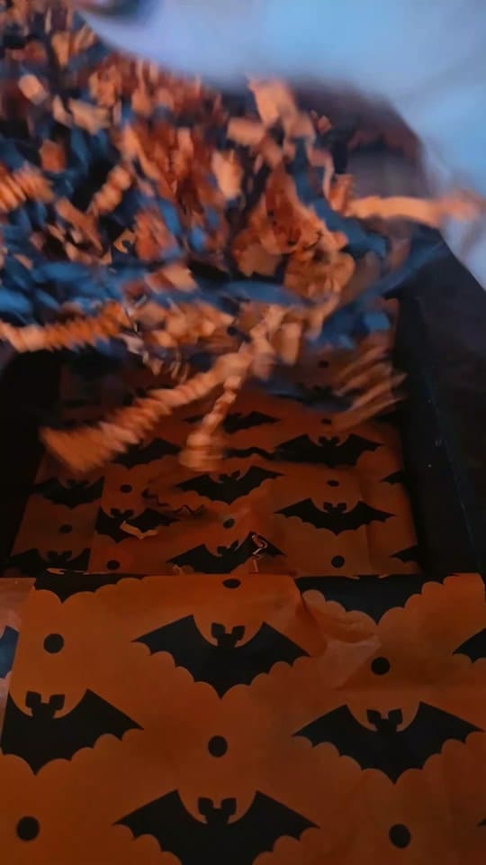 Post 2 by 🦊🪓 𝕬𝖓𝖌𝖊𝖑 𝕯𝖊𝖛𝖎𝖑🕯 on TikTok (video)
