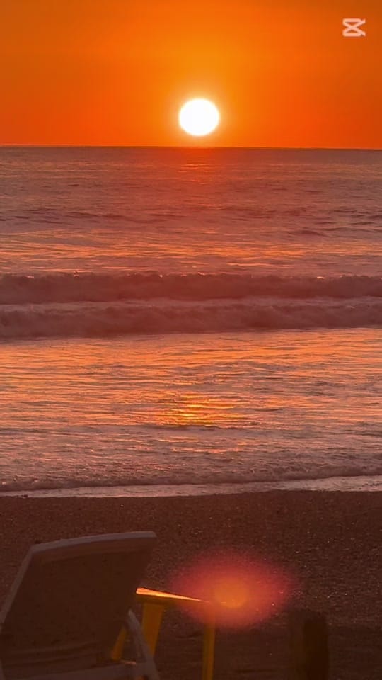 Post 8 by Pura Vida Rentas on TikTok (video)