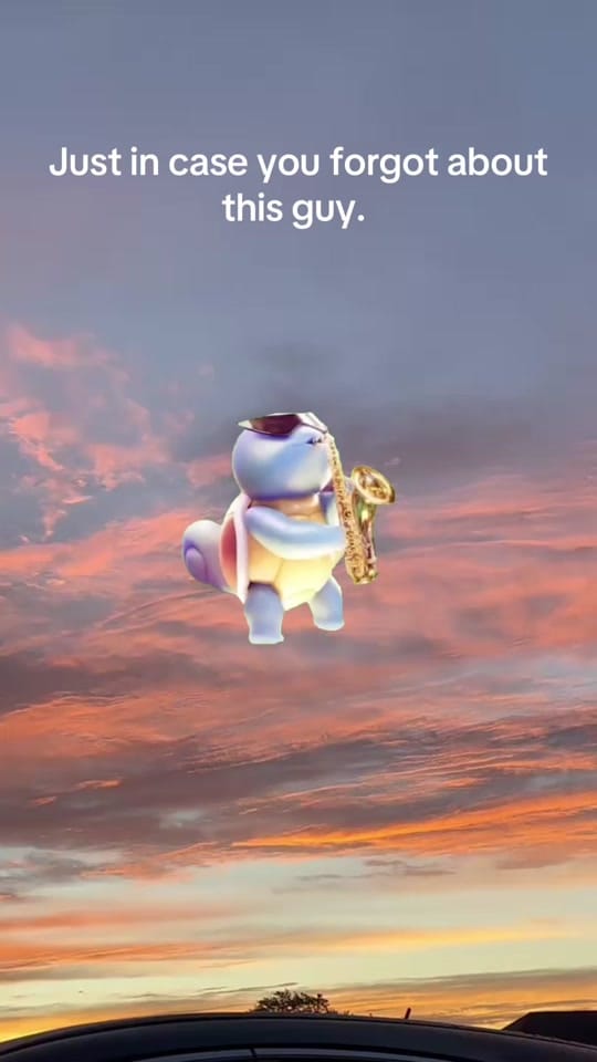 Post 8 by We have it all here on TikTok (video)