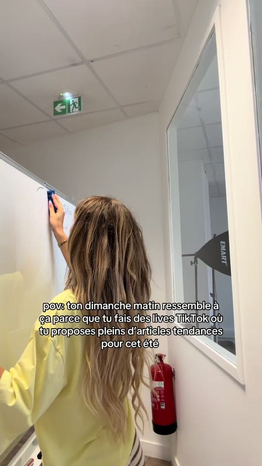 Post 3 by casaneva.fr on TikTok (video)