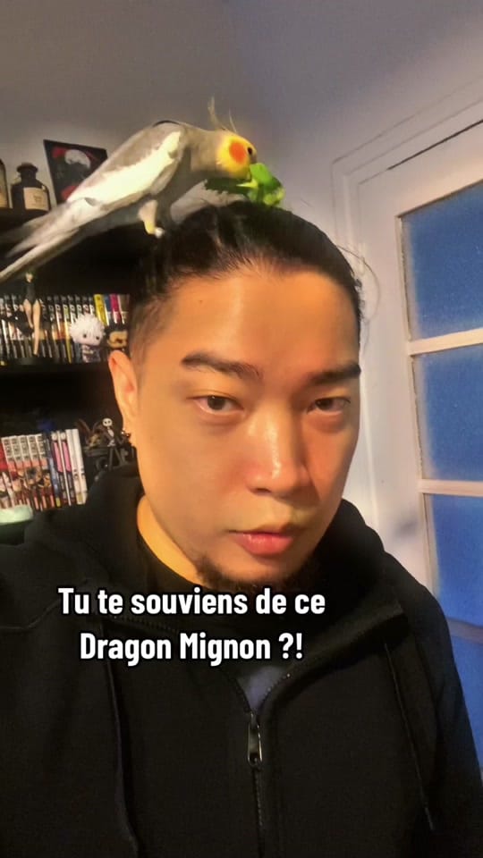 Post 6 by Minh kaiju on TikTok (video)