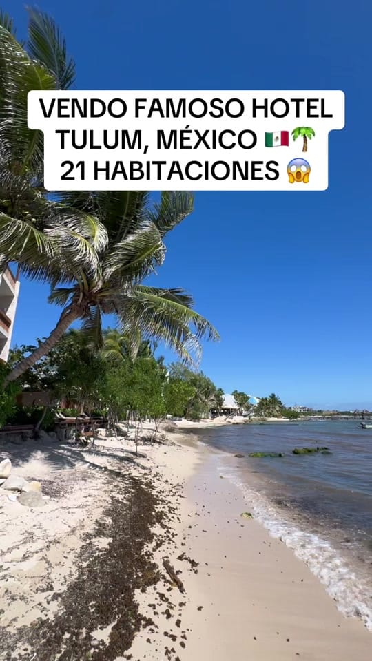 Post 10 by Charlie Herrera on TikTok (video)