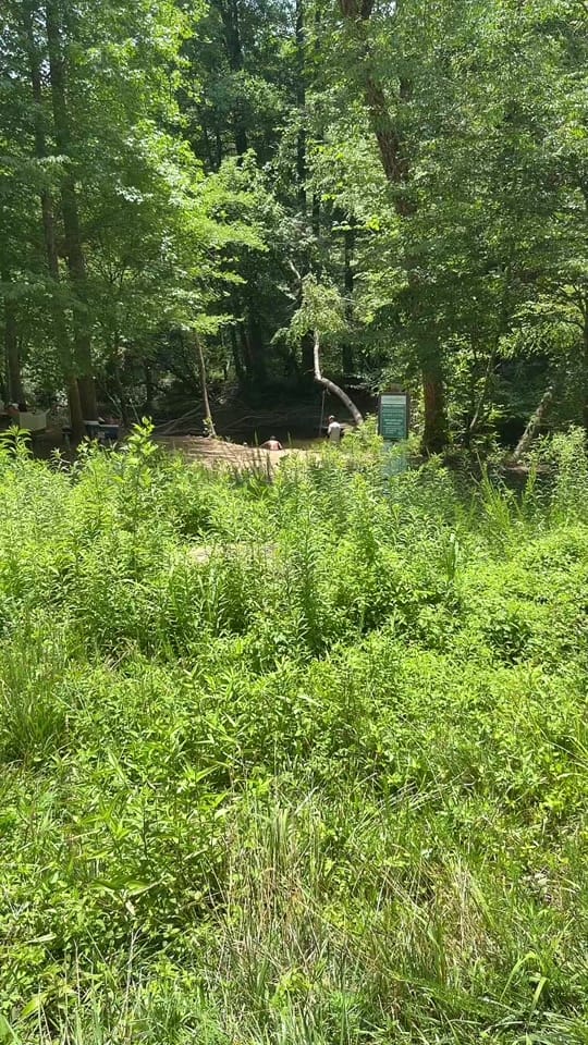 Post 5 by Britt on TikTok (video)