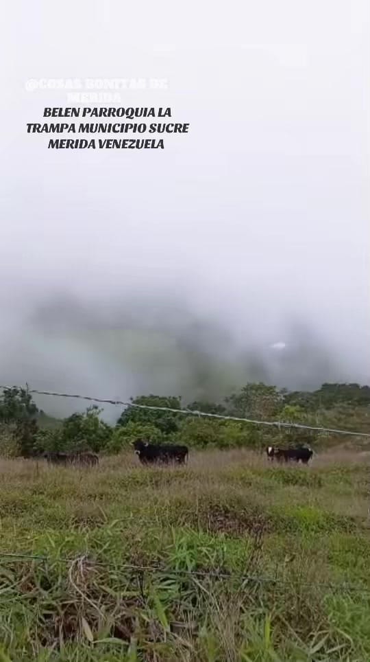 Post 3 by COSASBONITASDEMERIDA on TikTok (video)