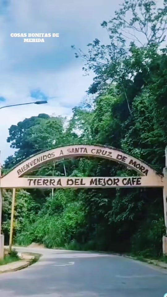 Post 4 by COSASBONITASDEMERIDA on TikTok (video)