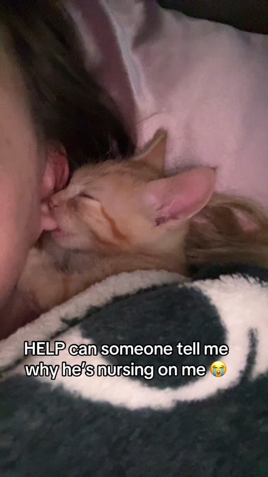 Post 10 by Britt on TikTok (video)