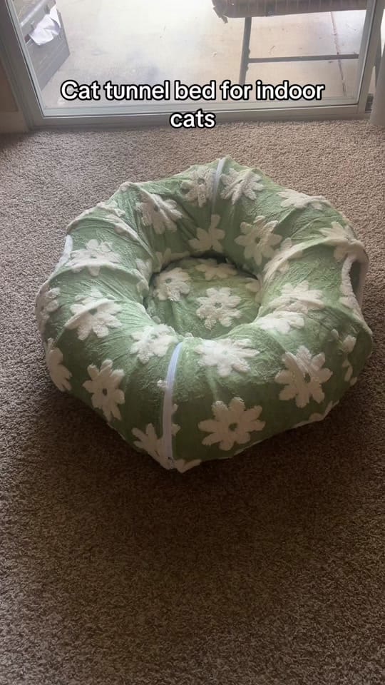Post 2 by Britt on TikTok (video)