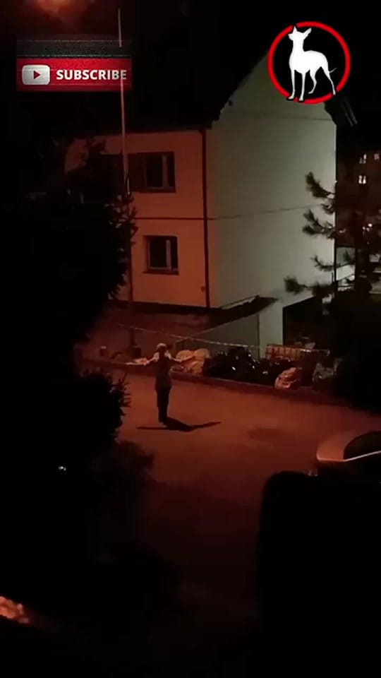 Post 3 by HERMAN 2.0 XRS on TikTok (video)