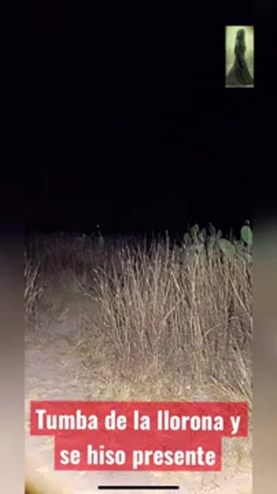 Post 5 by HERMAN 2.0 XRS on TikTok (video)
