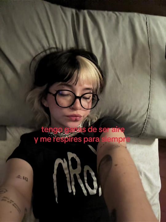 Post 9 by Emily Villarruel on TikTok (video)