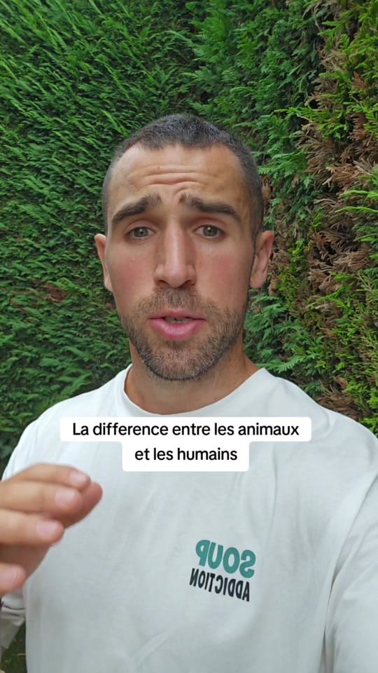Post 6 by Eddy Didji on TikTok (video)