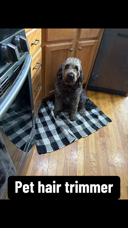 Post 2 by Britt•With•Wit on TikTok (video)