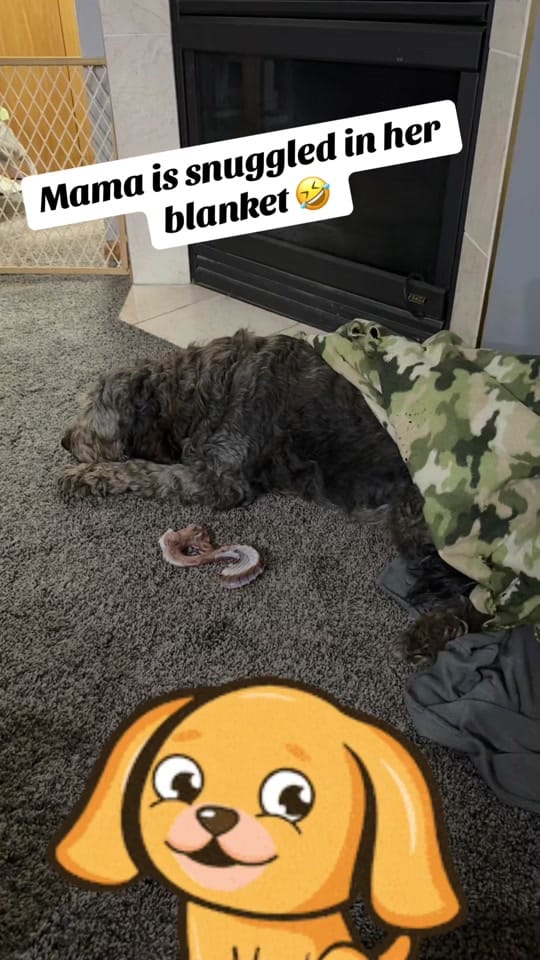 Post 6 by Britt•With•Wit on TikTok (video)