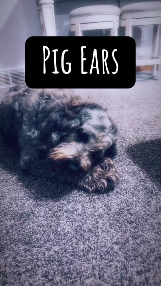 Post 1 by Britt•With•Wit on TikTok (video)