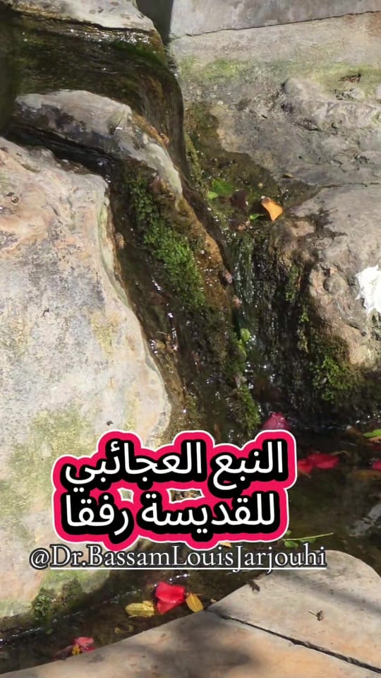 Post 3 by Dr. Bassam Louis Jarjouhi on TikTok (video)
