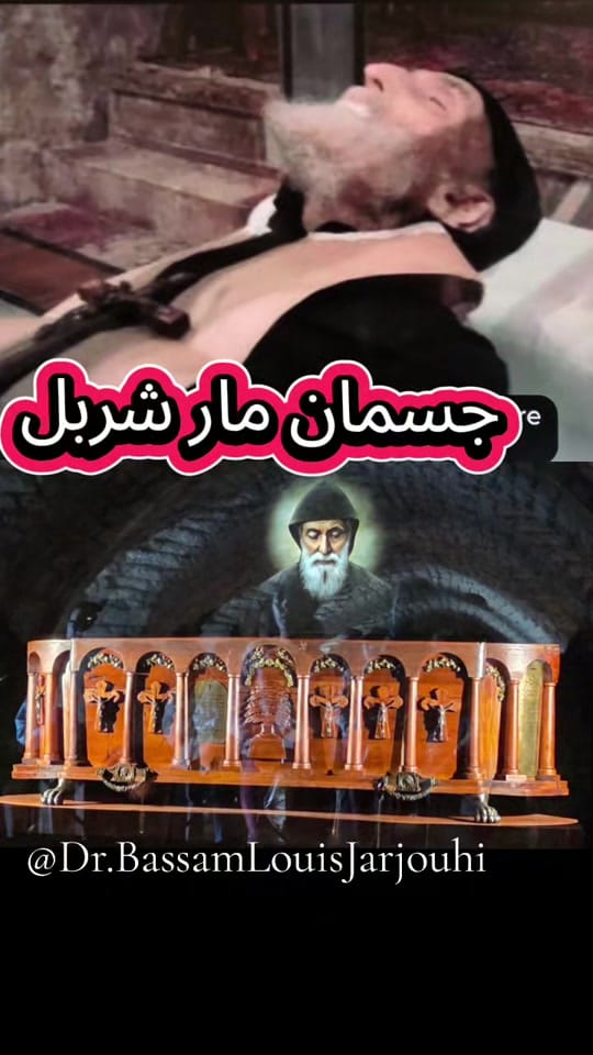 Post 9 by Dr. Bassam Louis Jarjouhi on TikTok (video)