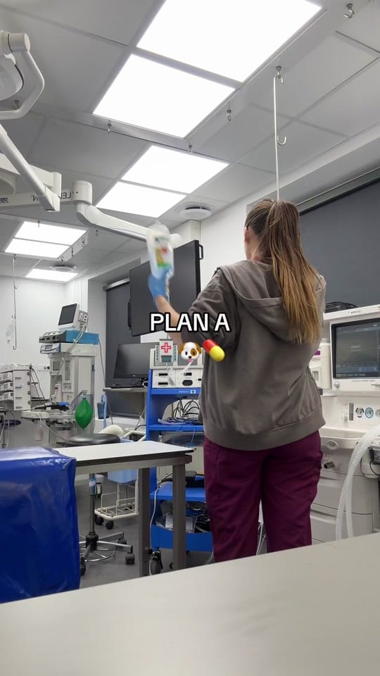 Post 9 by leila_thevetnurse on TikTok (video)