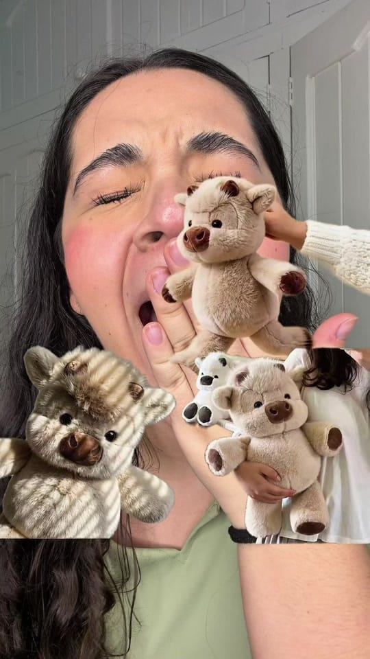 Post 1 by Alicia Villalobos :) on TikTok (video)