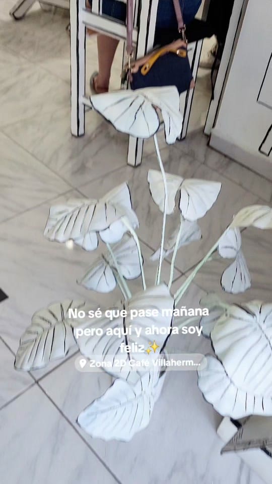 Post 10 by Zona 2D Villahermosa on TikTok (video)