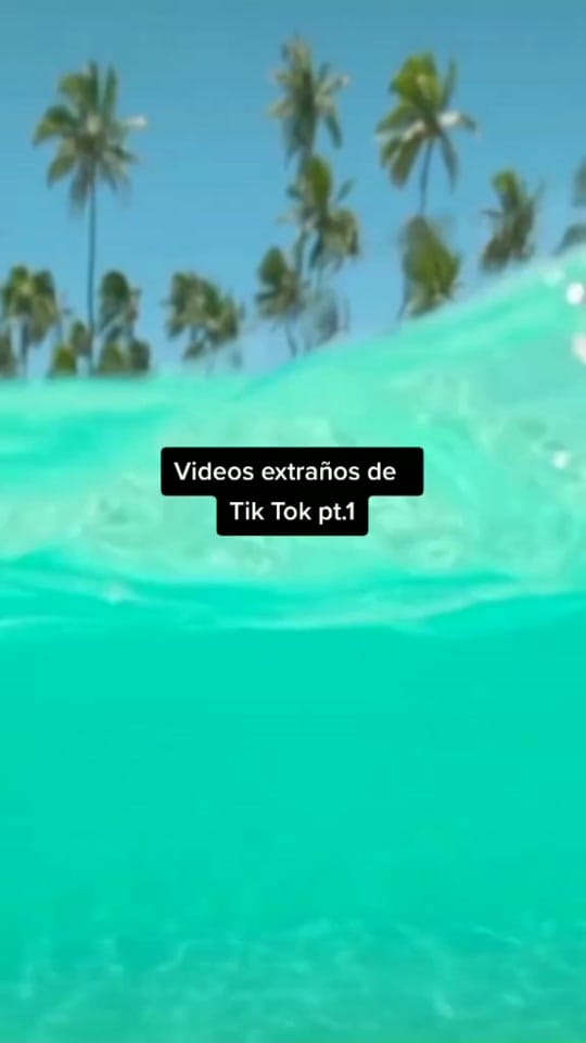 Post 1 by 💚CURIOSO_CHEEMS💚 on TikTok (video)