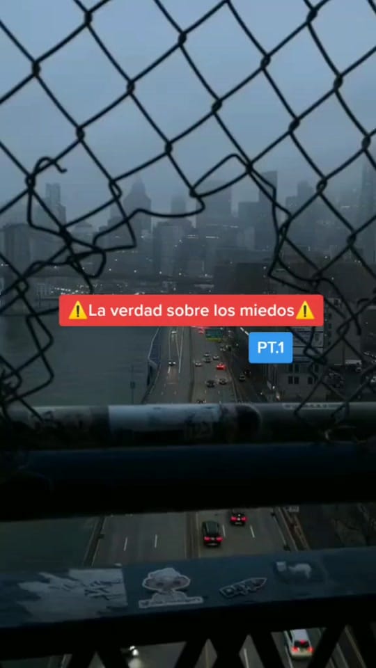 Post 5 by 💚CURIOSO_CHEEMS💚 on TikTok (video)