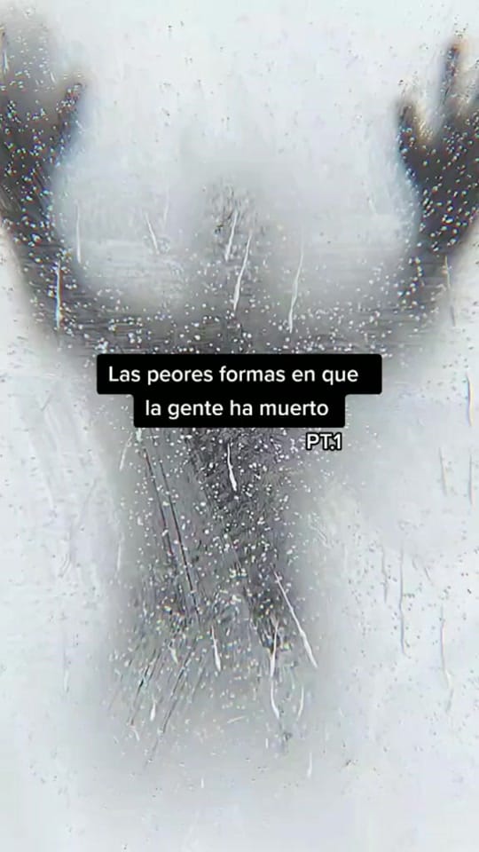 Post 9 by 💚CURIOSO_CHEEMS💚 on TikTok (video)
