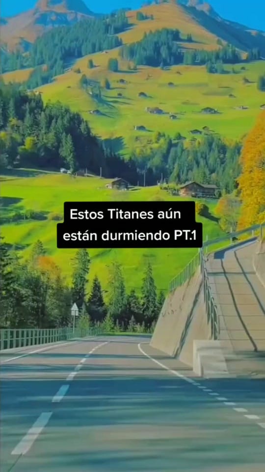 Post 4 by 💚CURIOSO_CHEEMS💚 on TikTok (video)