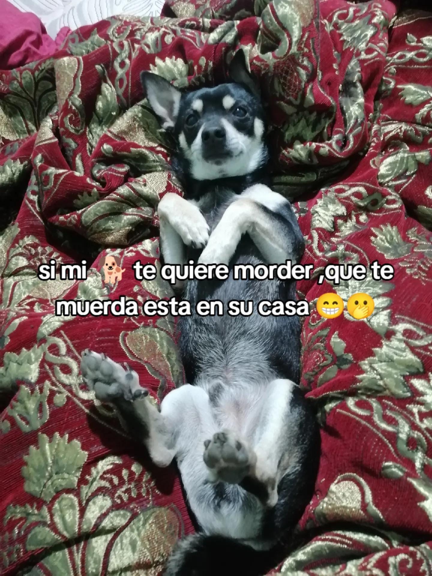 Post 6 by 🍓🍒D O R A L Y 🍒♥️ on TikTok (video)