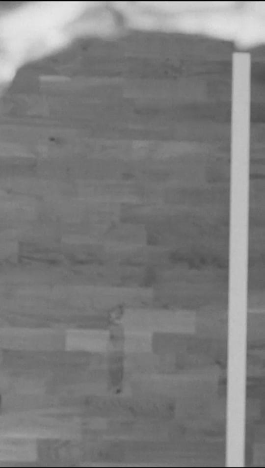 Post 10 by allparisianbasketball on TikTok (video)
